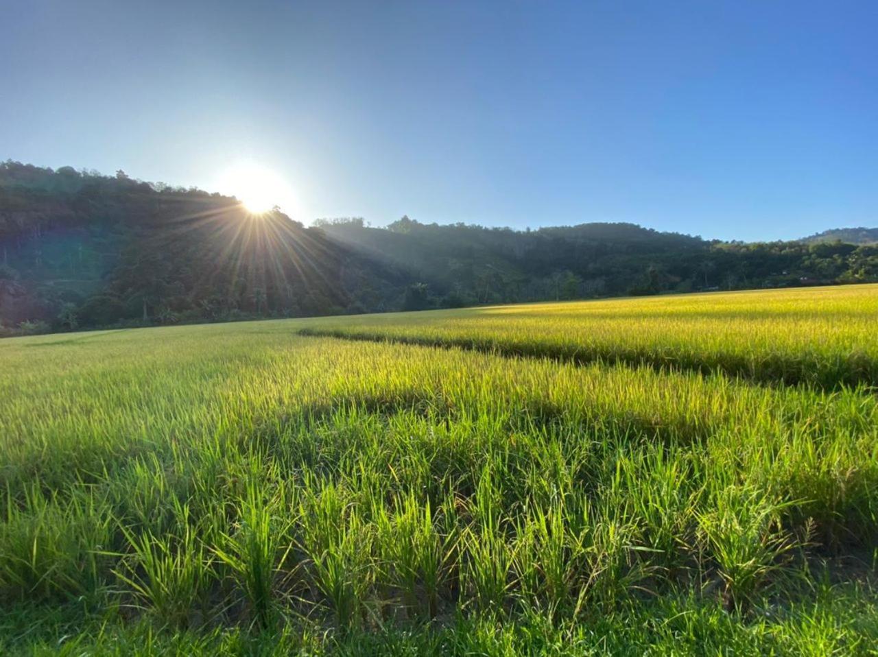 Tanah Merah Glamping Village Kuala Kangsar Exteriör bild