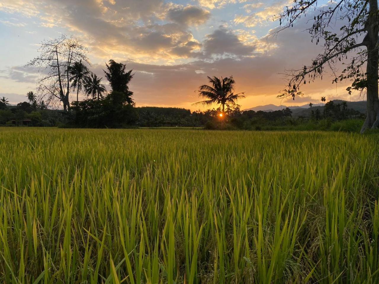 Tanah Merah Glamping Village Kuala Kangsar Exteriör bild